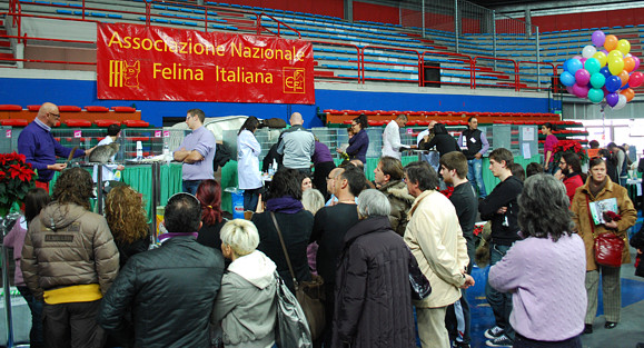 GRANDE SUCCESSO PER LA PRIMA ESPOSIZIONE INTERNAZIONALE FELINA