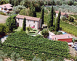 Agriturismo Vecchio Olivo - Montecarlo di Lucca